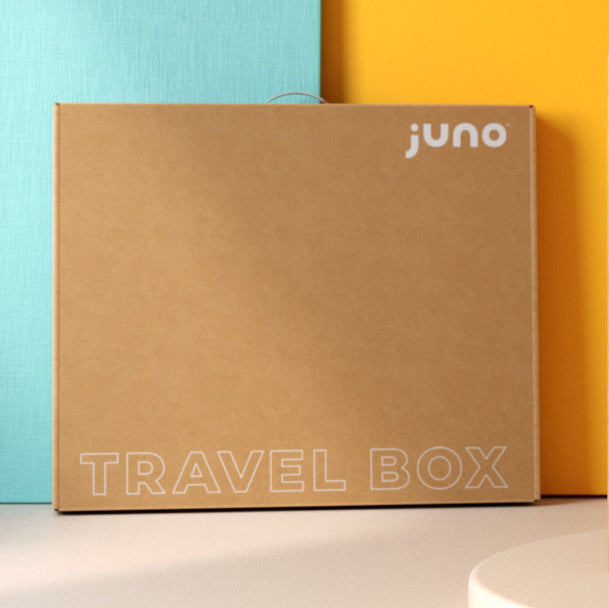 Juno Bassinet in Travel Box