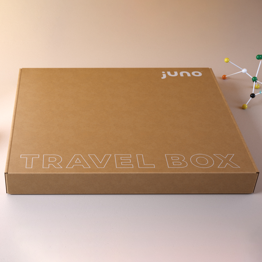Juno Bassinet in Travel Box